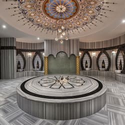 Een sauna, een bubbelbad, een stoombad, warm/mineraalwaterbronnen