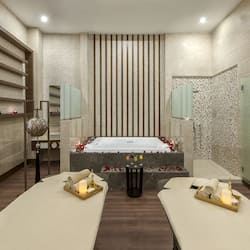 Sauna seca, banheira de hidromassagem, sauna a vapor