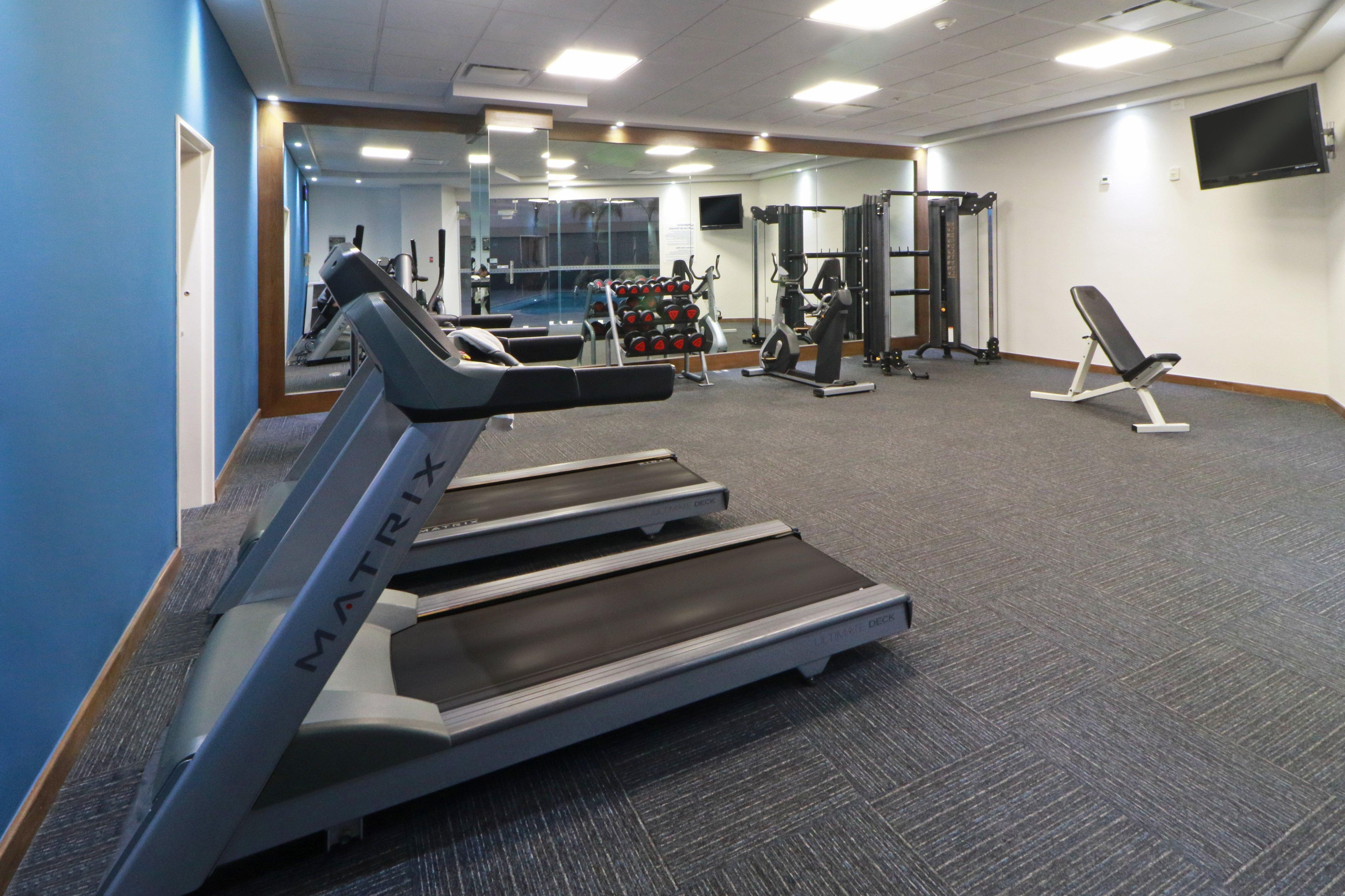 A gym with treadmills, weight machines, and a bench.