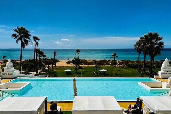 Outdoor pool, sun loungers