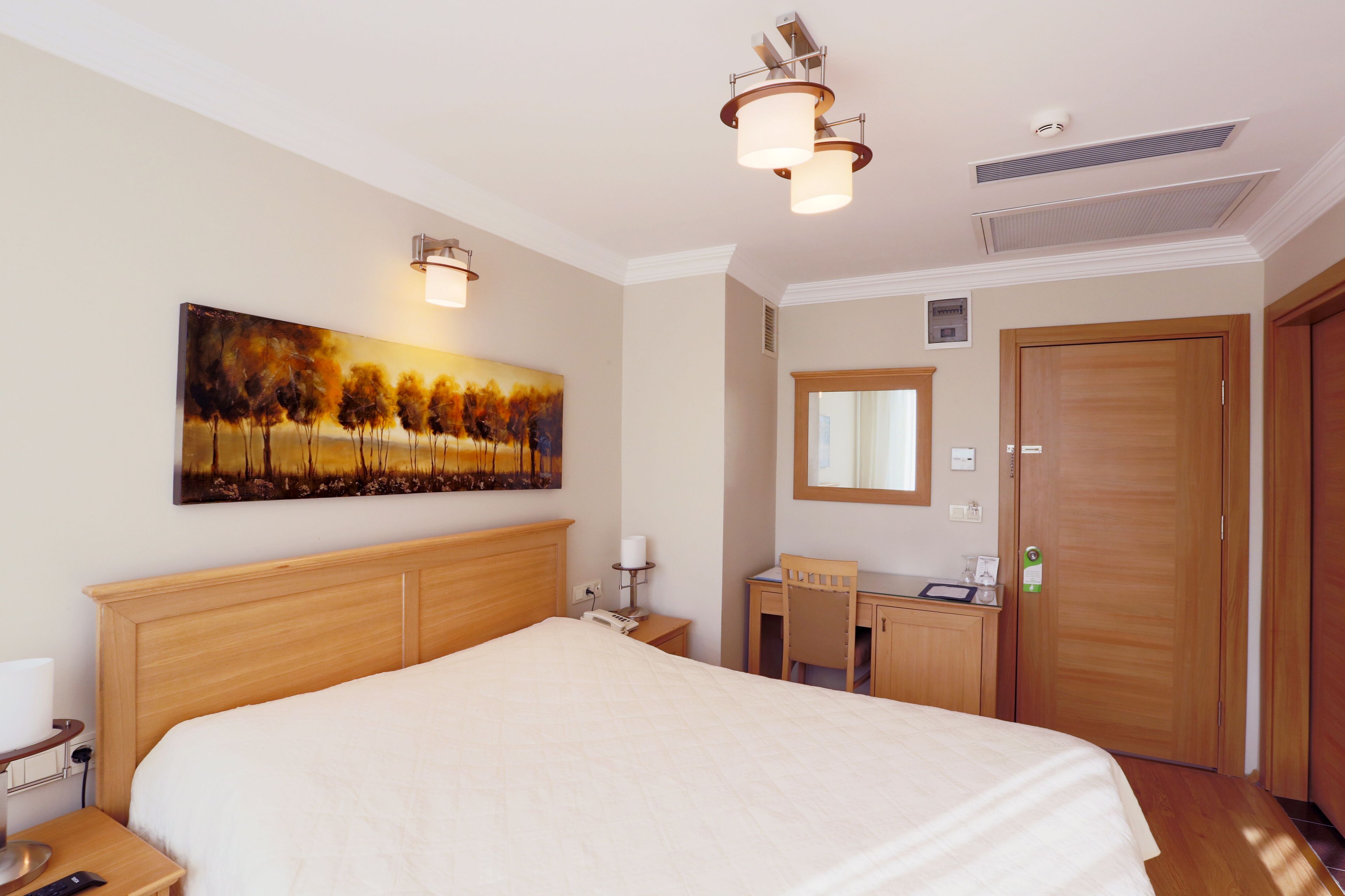 Standard Double Room | Minibar, in-room safe, desk, soundproofing