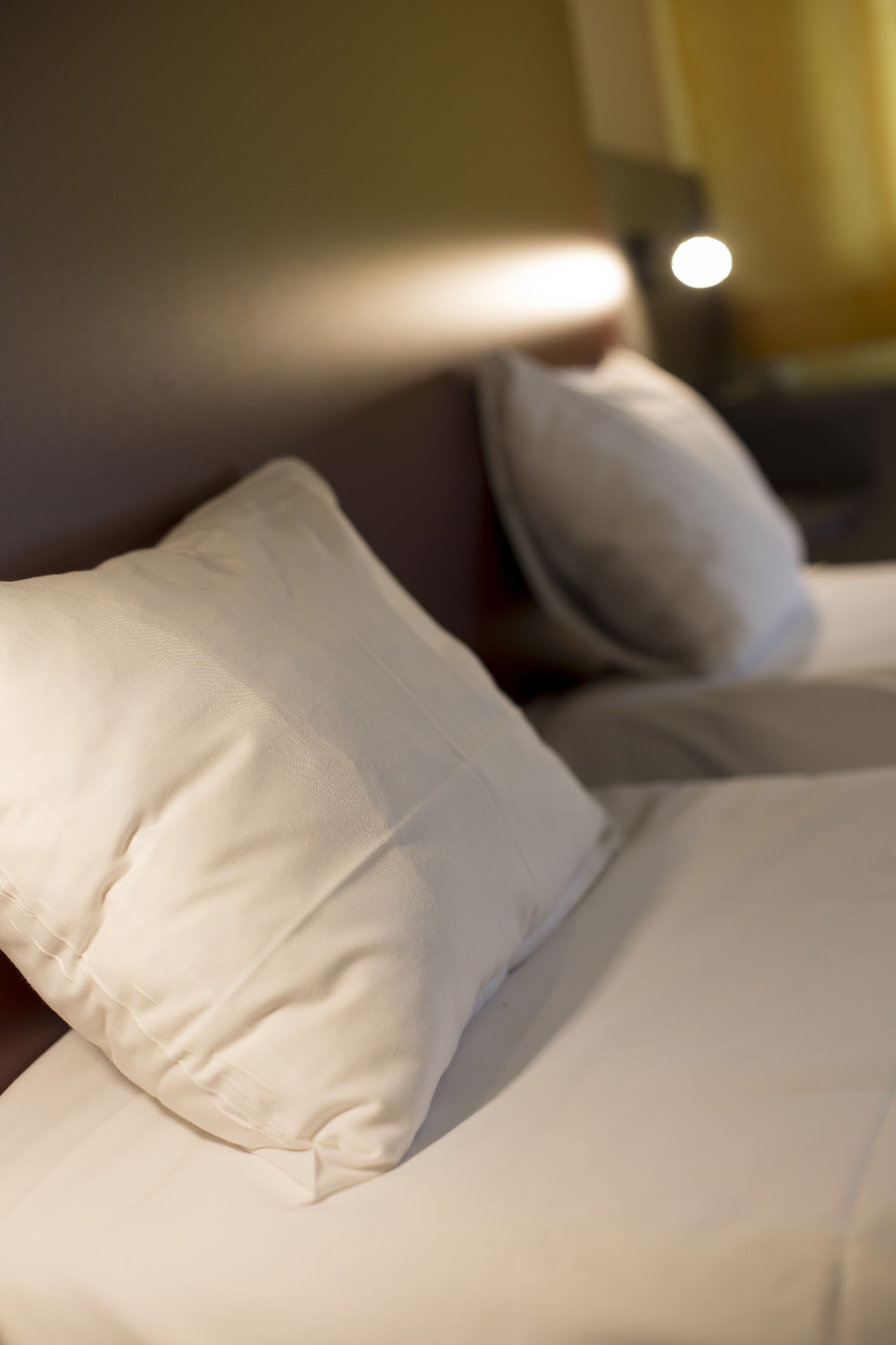 standard twin room, non smoking, garden view | view from room