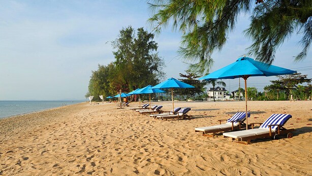 Une plage bordée de rangées de chaises longues et de parasols bleus, de palmiers et d’un ciel dégagé.