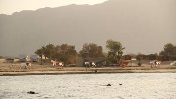 Private beach, white sand, sun-loungers, snorkelling