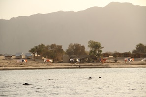 Playa privada, playa de arena blanca, camastros y snorkel 