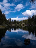 Un lago tranquilo con reflejos de árboles y cielo, rodeado de un bosque denso.