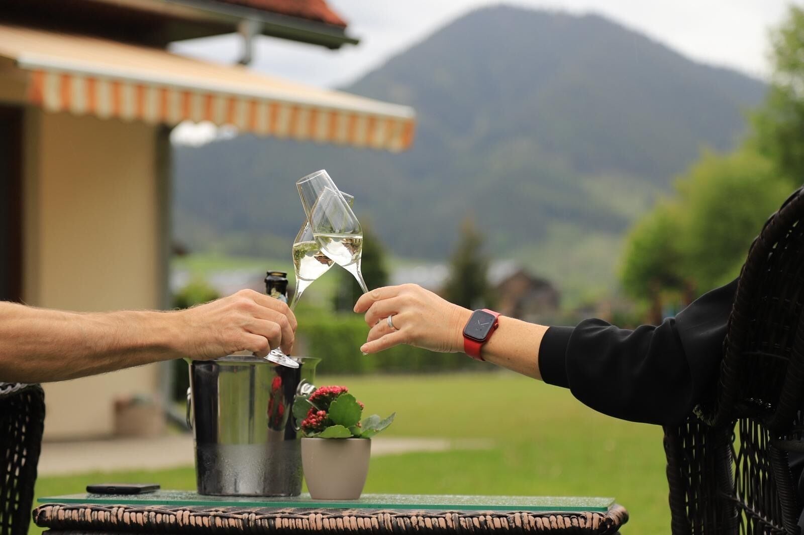 Deux personnes trinquent avec des verres à vin, une carafe en métal, une plante en pot et, en arrière-plan, on aperçoit une montagne.