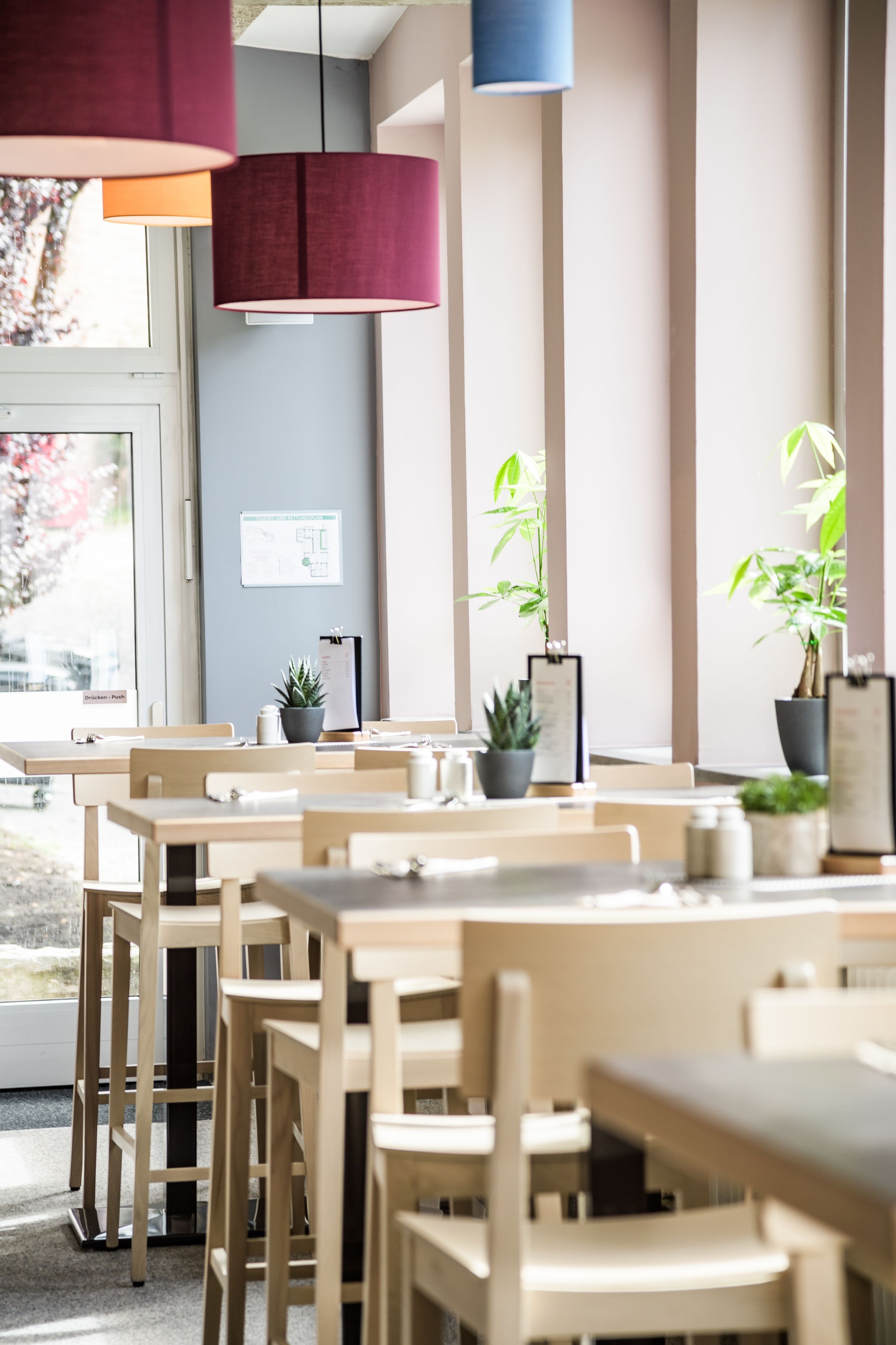 Un comedor moderno con mesas y sillas de madera, plantas en macetas e iluminación colgante.