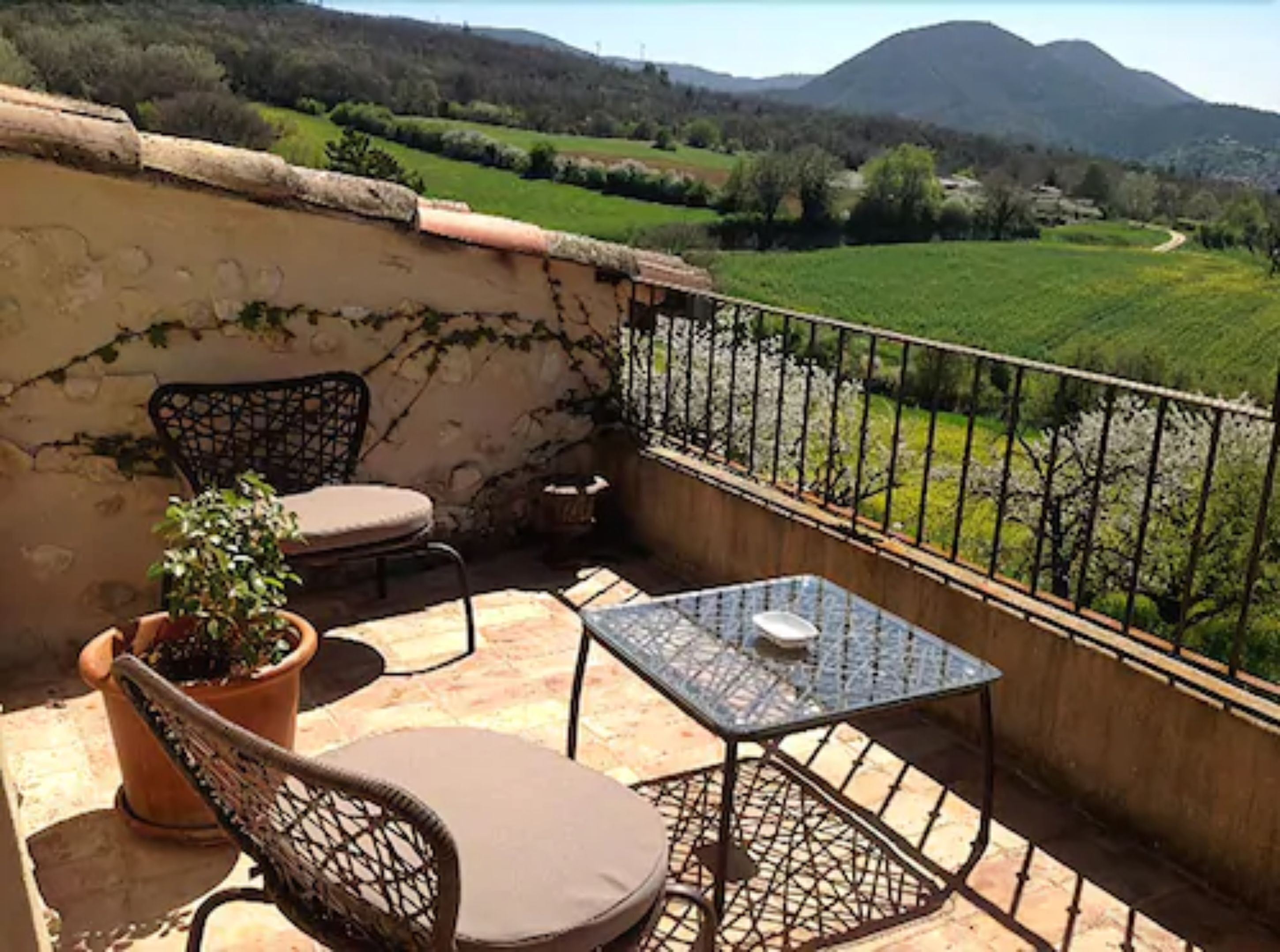 Suite | Terrace/patio