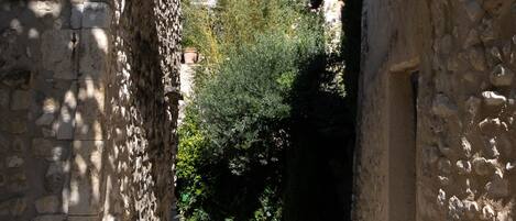 Un arco de piedra da acceso a un estrecho sendero, rodeado de muros de piedra y vegetación.