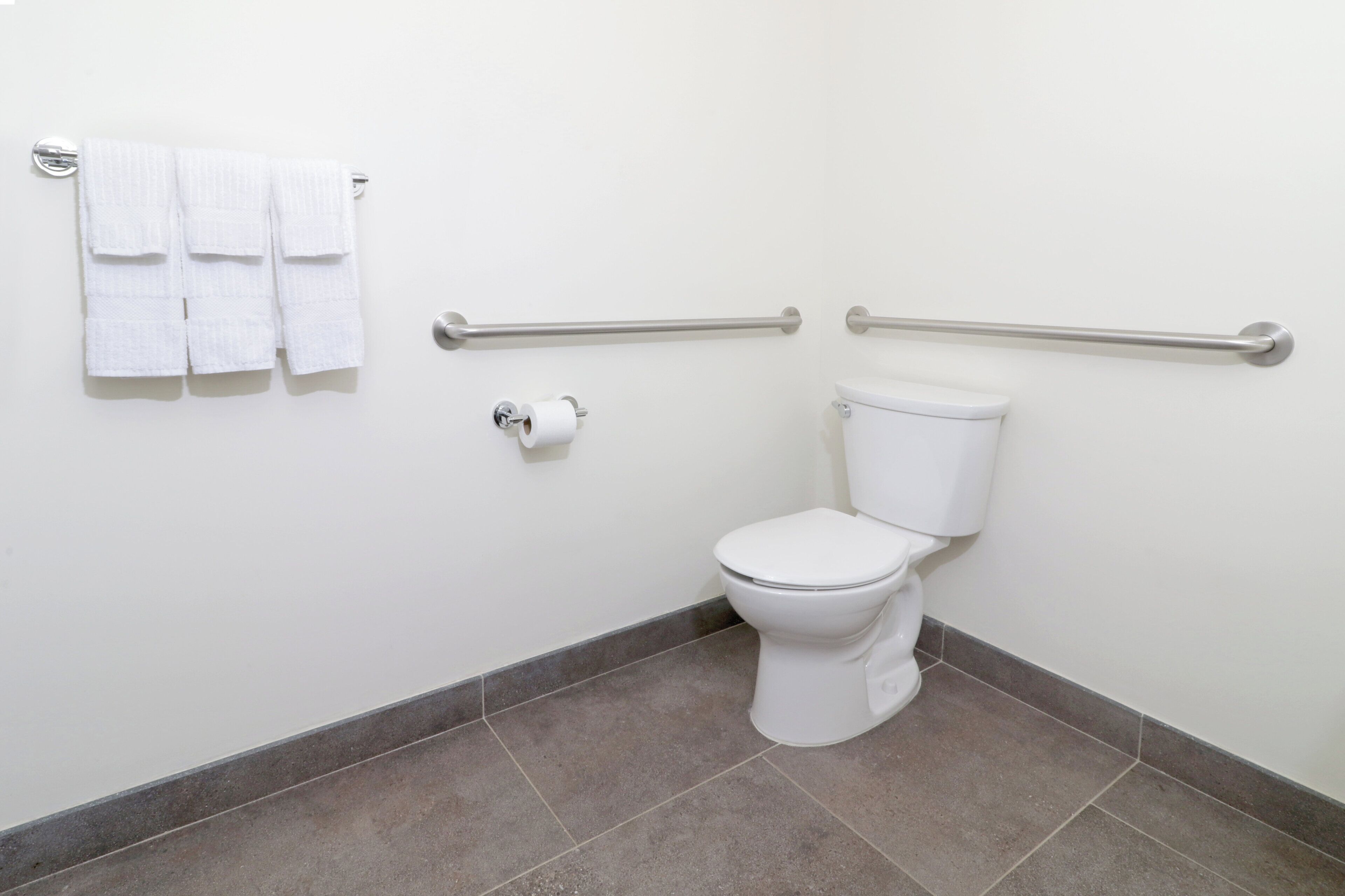 Un baño estándar con inodoro, barras de apoyo y un perchero para toallas.