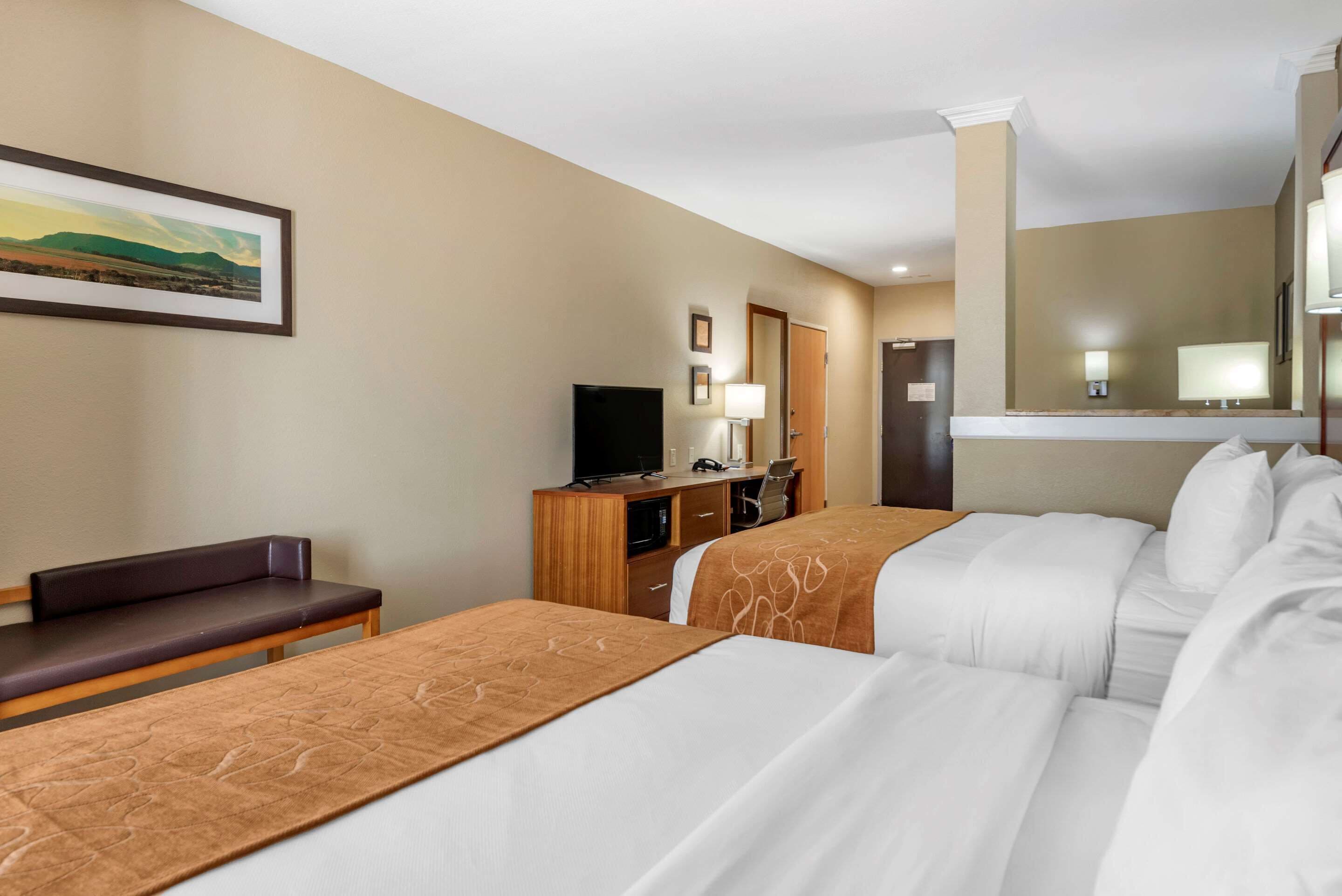 suite, 2 queen beds, non smoking | desk, iron/ironing board, free cots/infant beds, free wifi