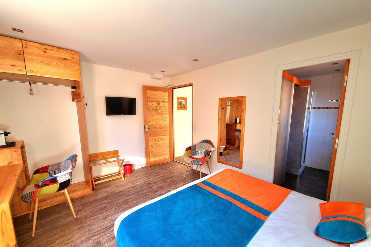 Une pièce comprenant un lit, une armoire en bois, un téléviseur, une chaise et un miroir.