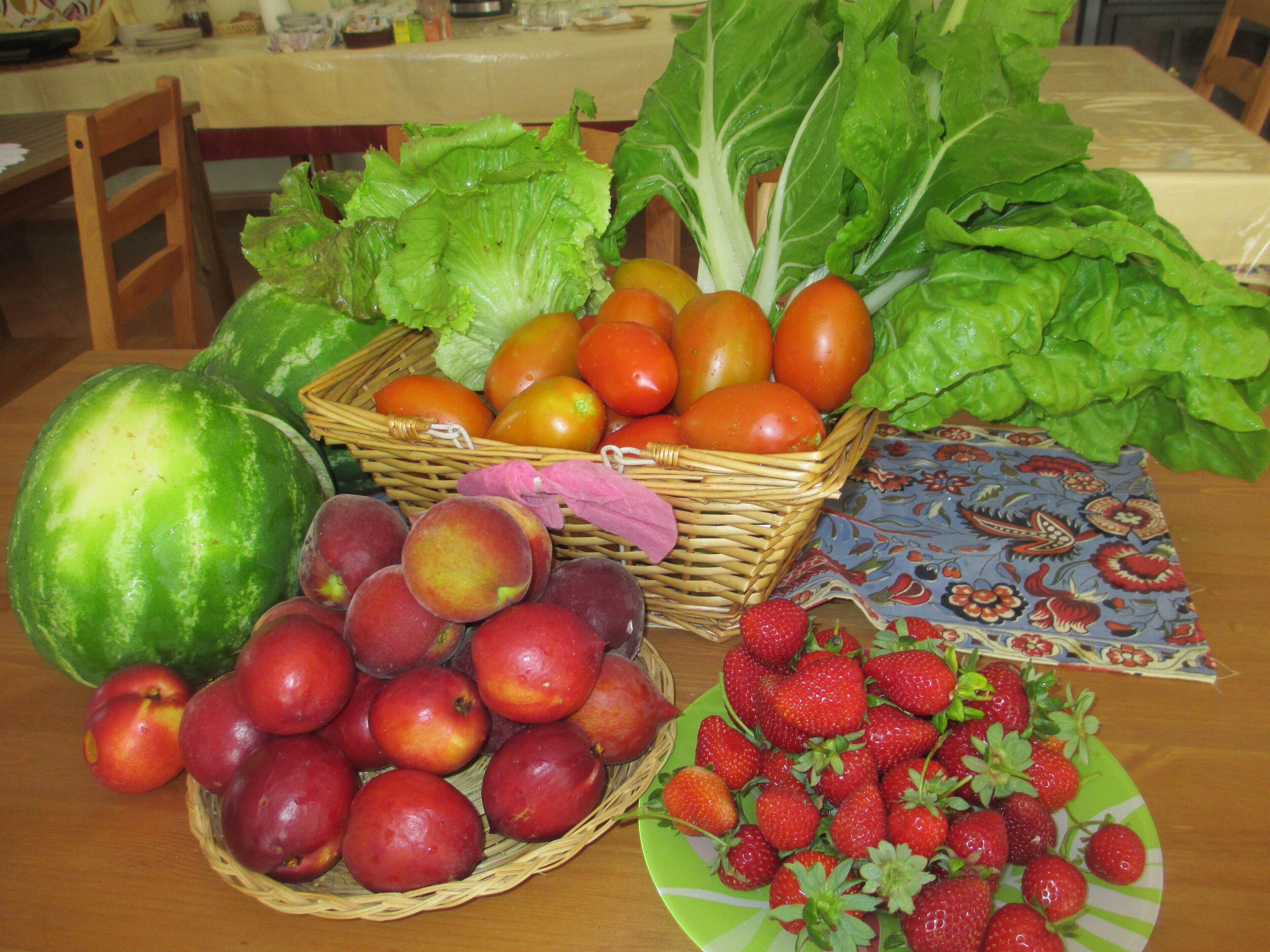 A table with a variety of fruits and vegetables, including tomatoes, lettuce, and apples.