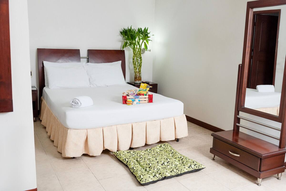 Una cama bien hecha con edredón blanco, una mesita de noche de madera con una planta, un espejo y una mesita auxiliar con aperitivos.