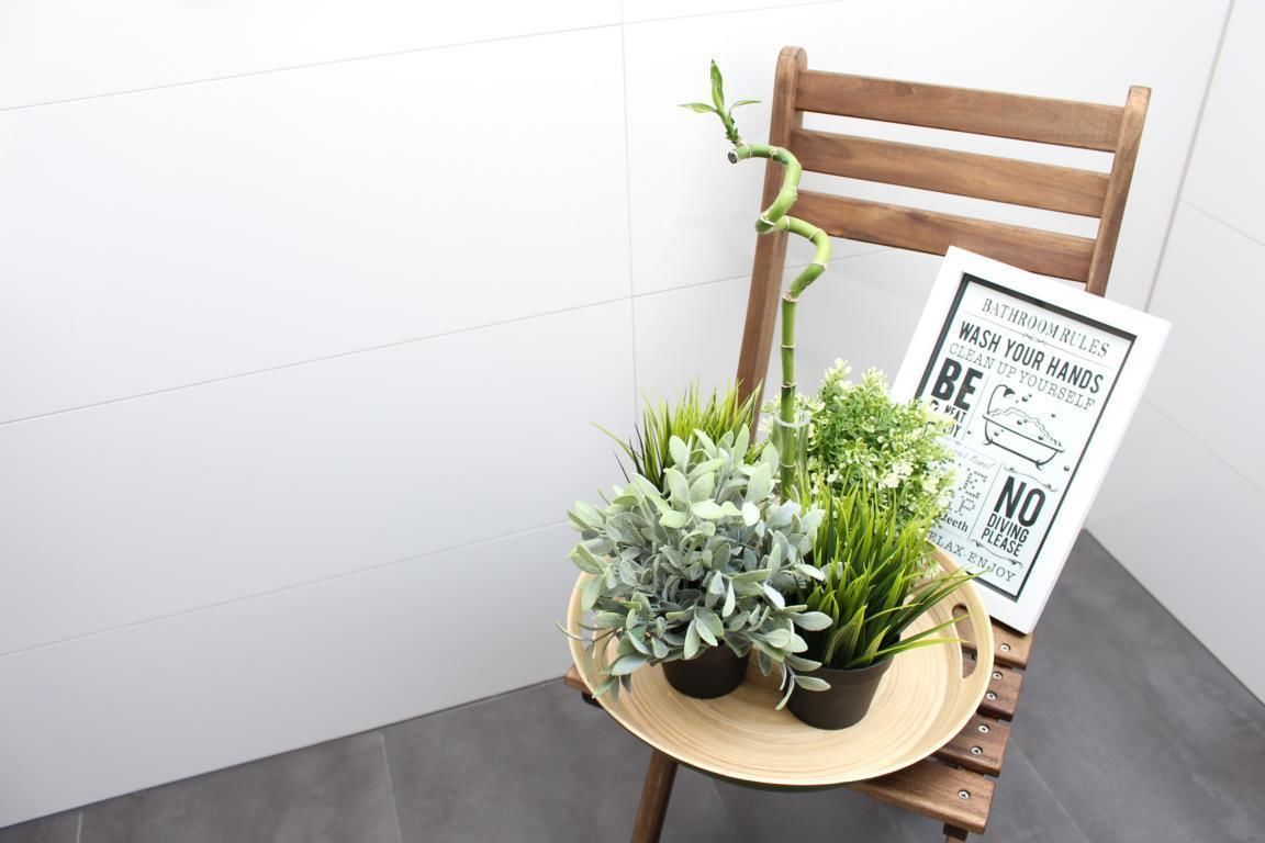 Una silla de madera con una cesta tejida que contiene plantas en macetas y un cartel con normas para el baño.