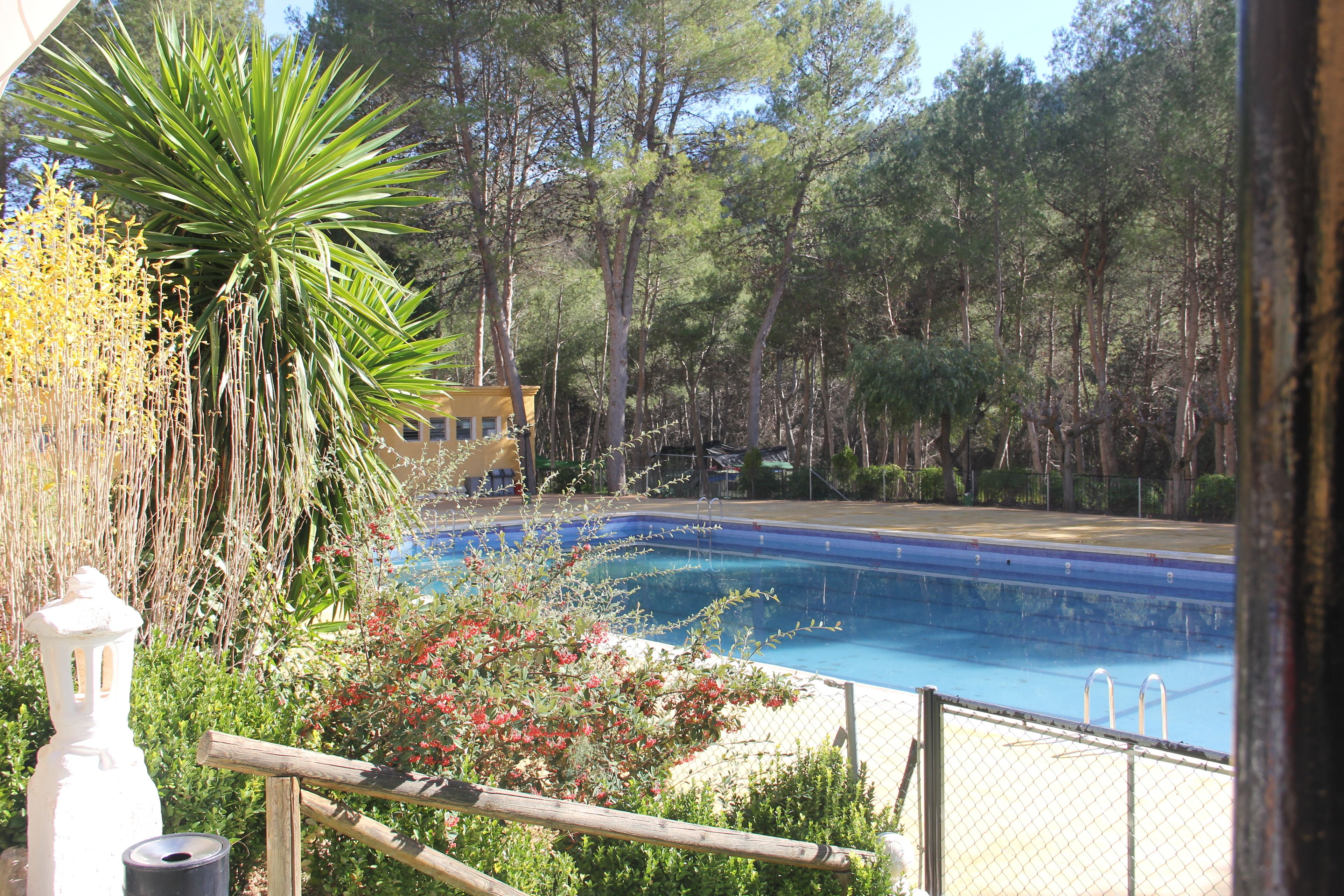 Une piscine entourée d’une végétation luxuriante et délimitée par une clôture en bois.