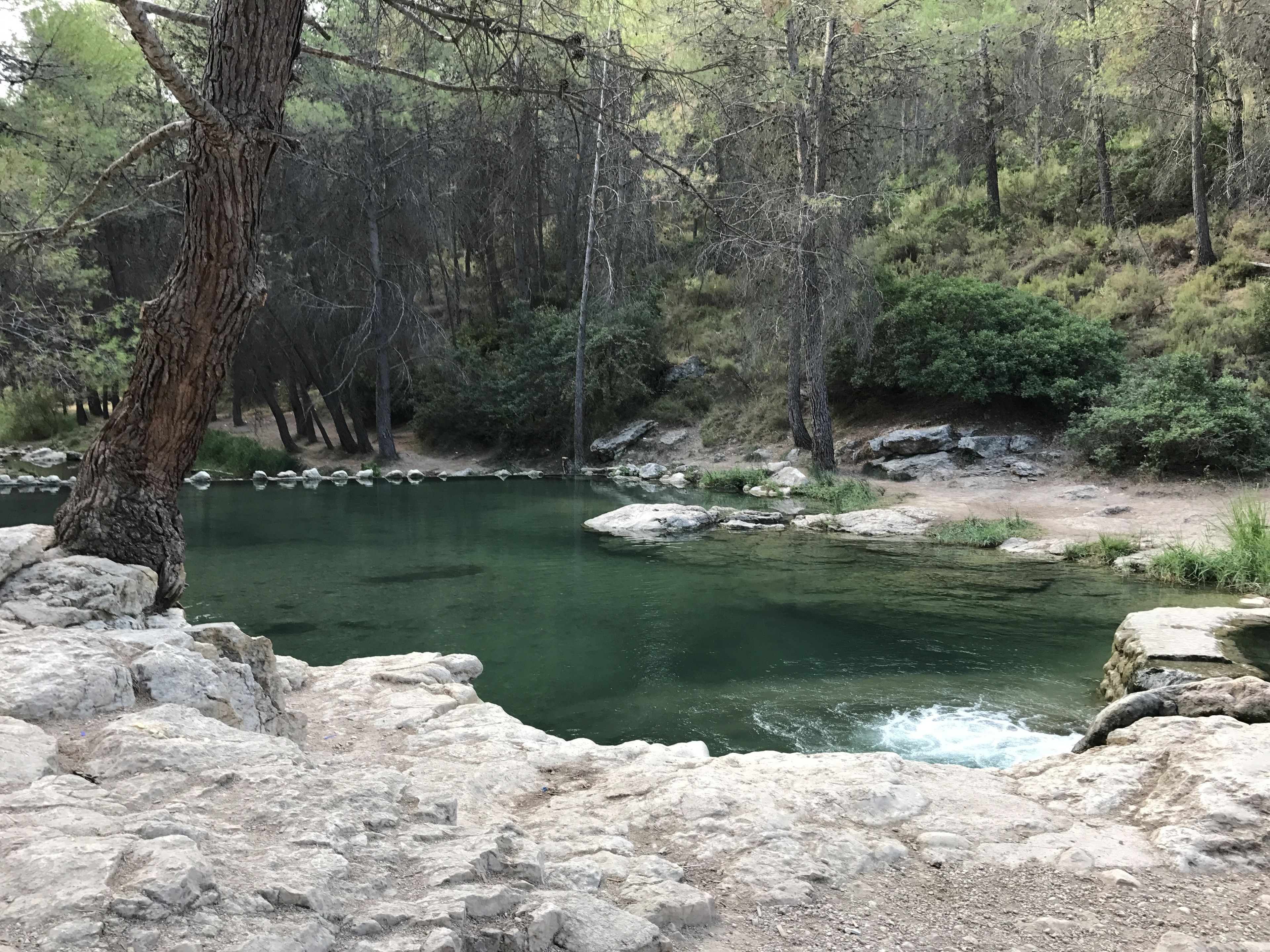 A natural landscape with a clear water body surrounded by rocks and trees.
