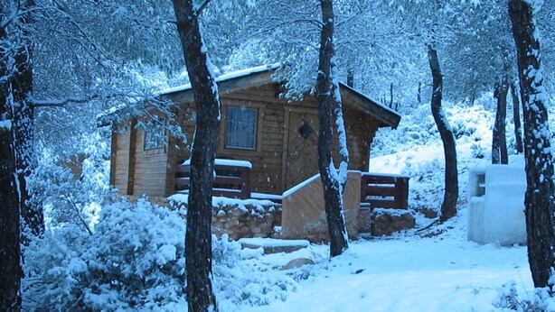 Una cabaña de madera rodeada de árboles cubiertos de nieve.