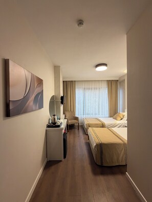Standard Double or Twin Room, Non Smoking | Minibar, laptop workspace, free WiFi - Fatih Resadiye Hotel (Istanbul)