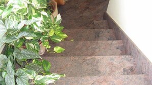 Interior - Hospederia Via de la Plata (La Baneza)