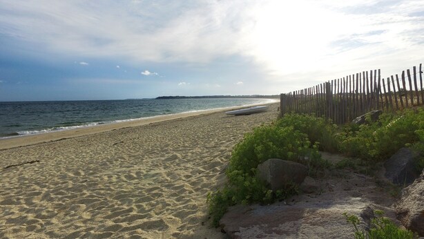 Una playa arenosa con una valla de madera y follaje.