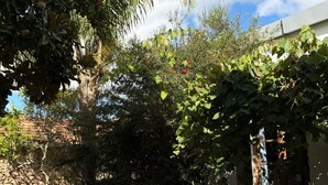 Unclassified image, 3 of 69, button - Estancia Los Platanos (Valentines)