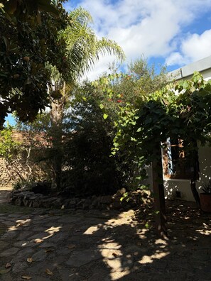 Courtyard - Estancia Los Platanos (Valentines)
