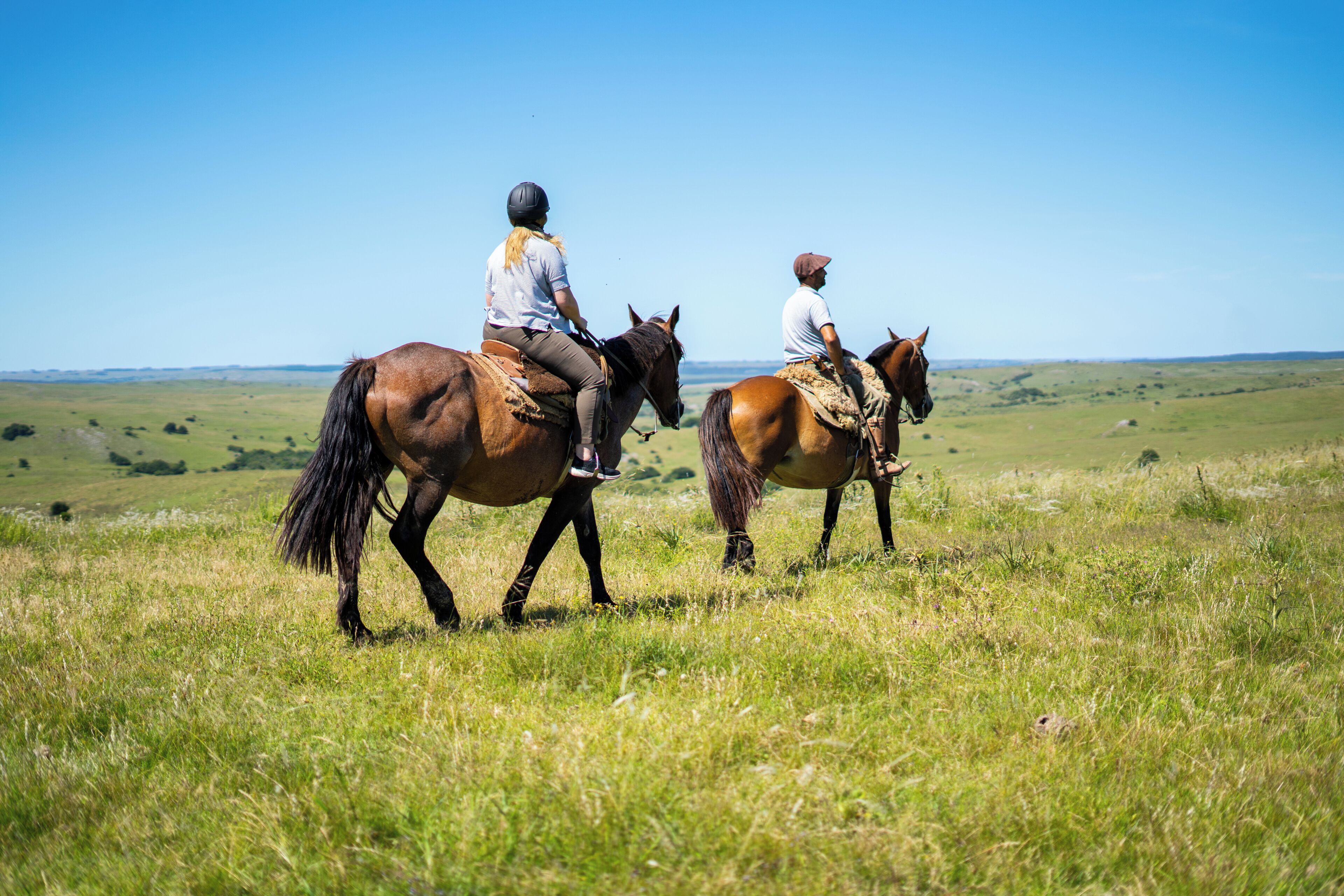 Two people riding horses in a grassy field with a clear sky.