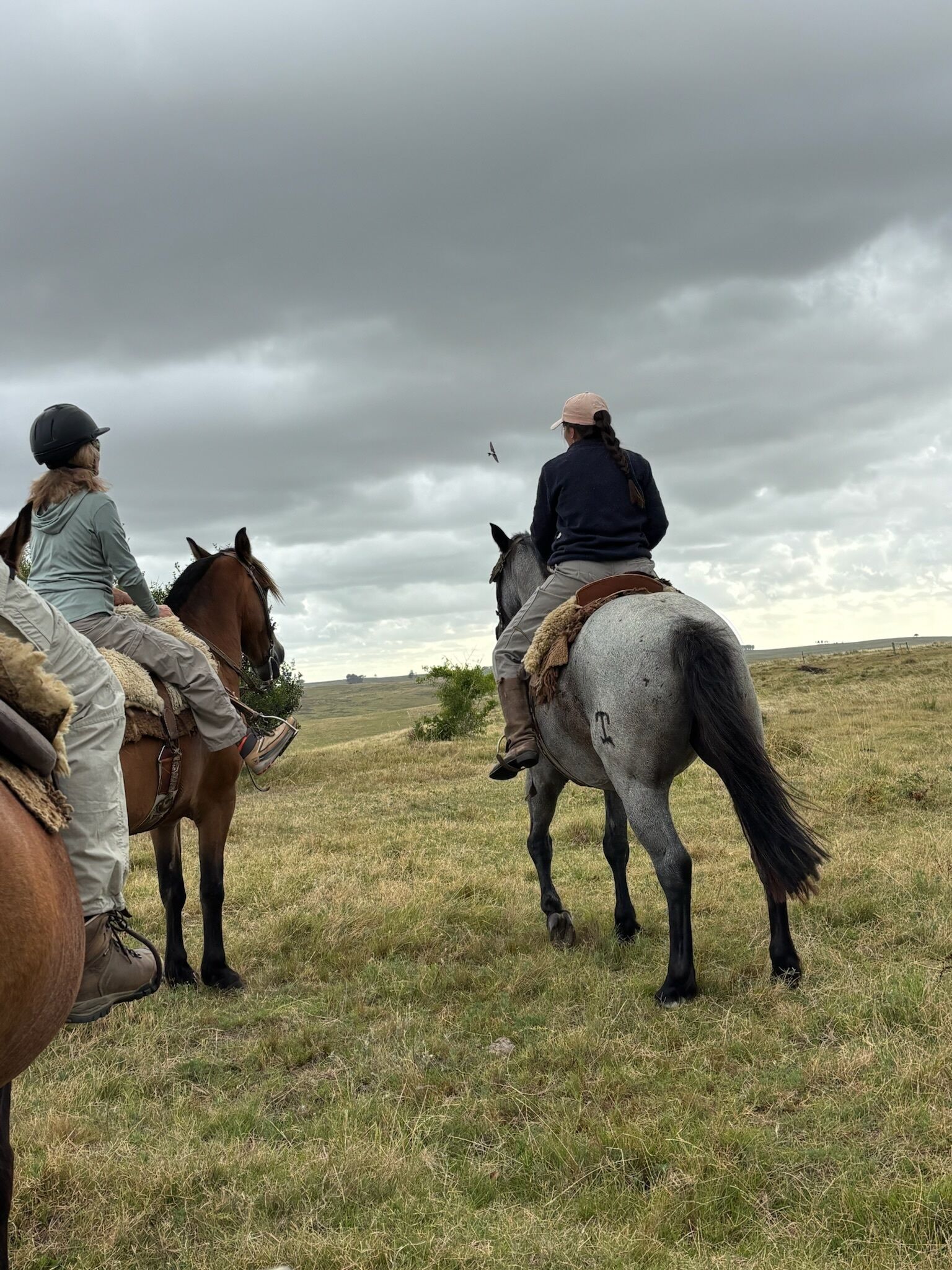 Zwei Personen reiten Pferde durch ein grasbewachsenes Feld unter einem bewölkten Himmel.