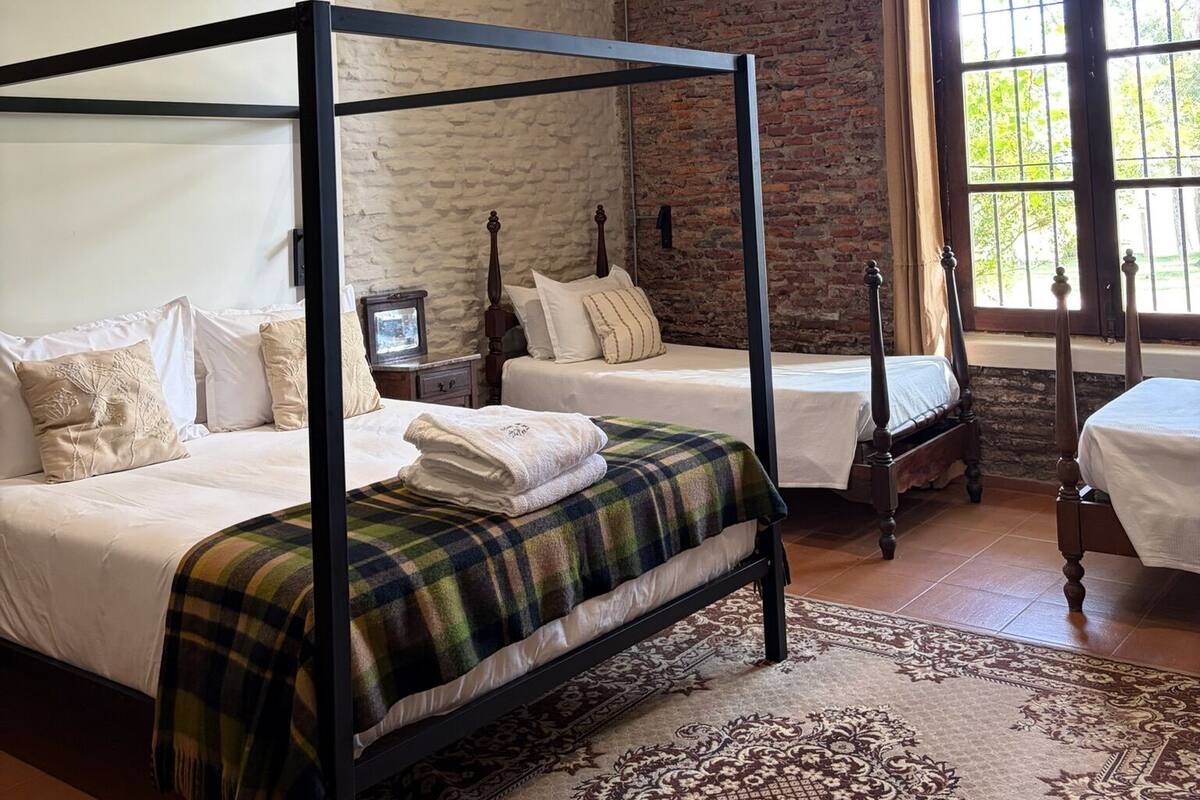 Cortinas blackout, wifi gratis y decoración personalizada 