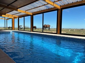 Indoor pool - Estancia Los Platanos (Valentines)
