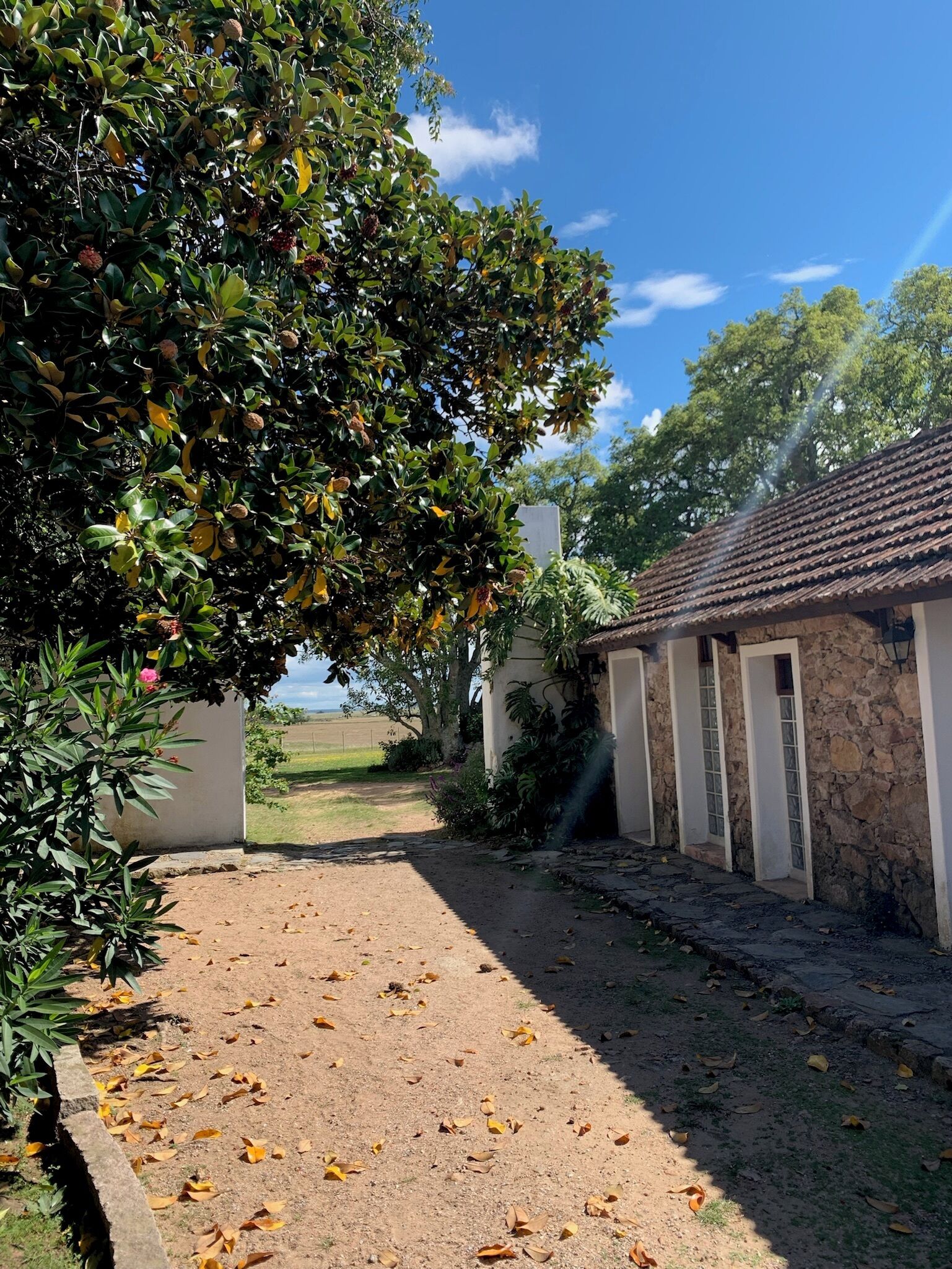 A stone building with a tiled roof, a paved pathway, and a tree with green leaves and red fruits.