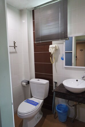Shower, free toiletries, hair dryer, towels