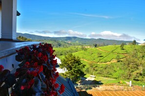 Deluxe tweepersoonskamer, privébadkamer, uitzicht op bergen | Uitzicht op de bergen