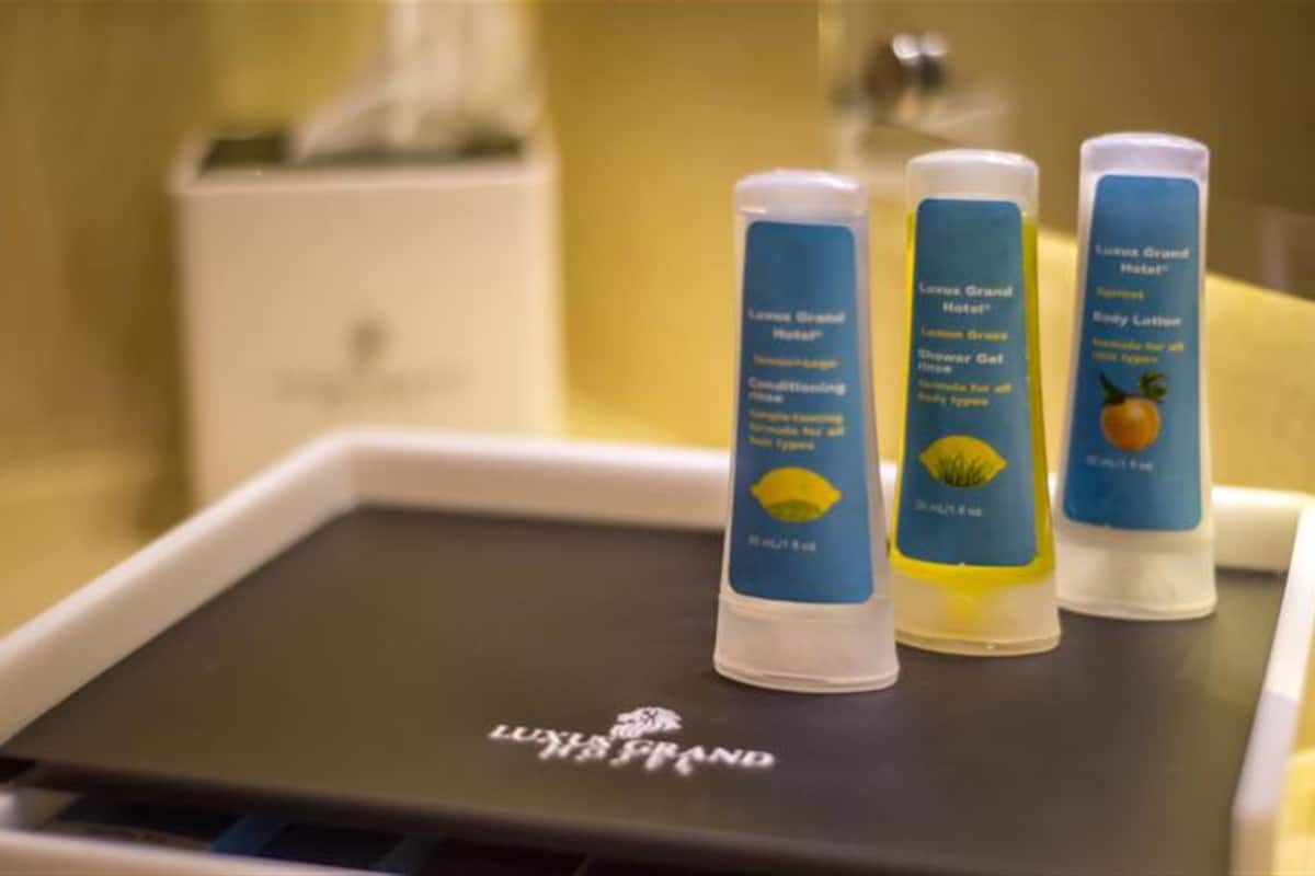 shower, free toiletries, hair dryer, slippers