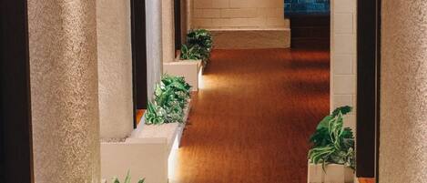 A hallway with a wooden floor, white pillars, and green plants.