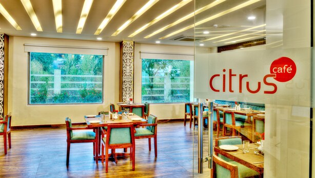 Interior de restaurante con mesas y sillas de madera, amplios ventanales con vistas a zonas verdes, y un techo con iluminación lineal.