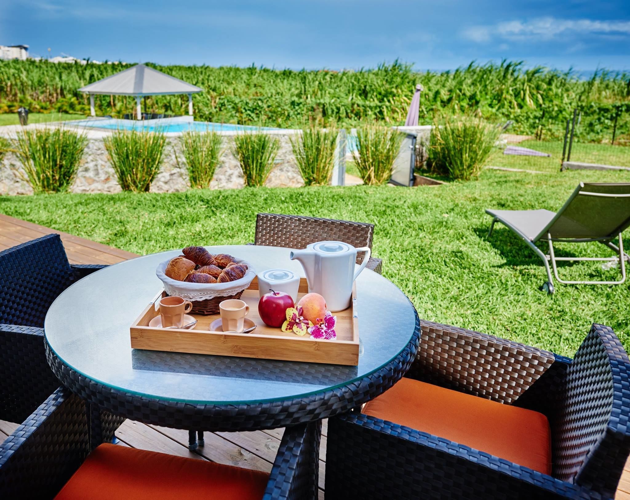 커피 및/또는 커피 메이커