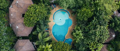 Outdoor pool, open 9:00 AM to 9:00 PM, sun loungers