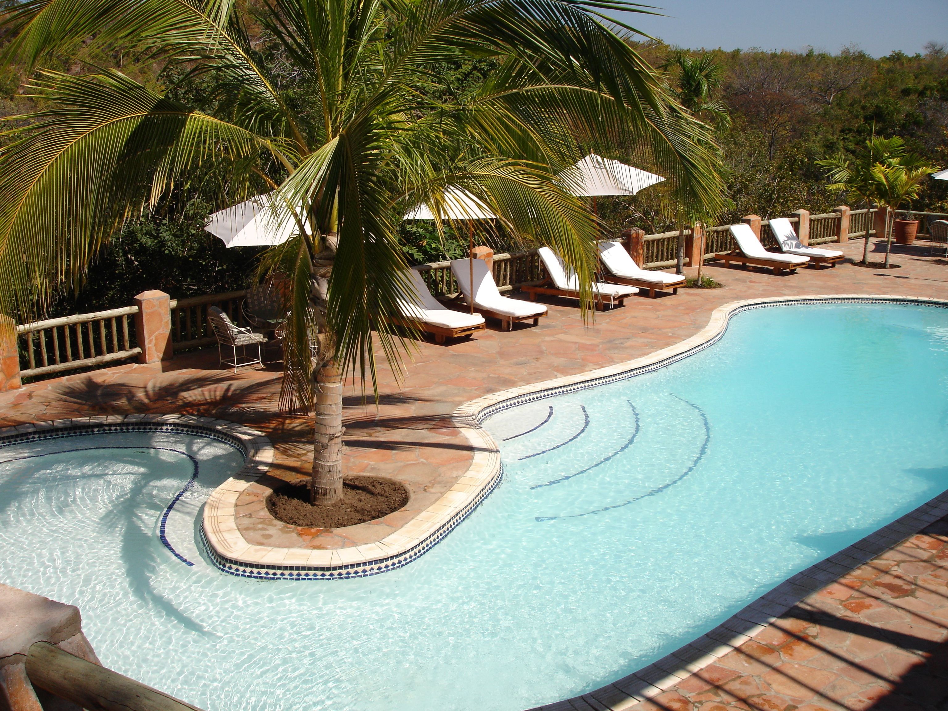 outdoor pool, pool umbrellas, pool loungers