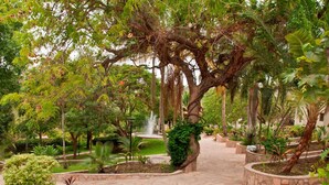 Un camí de pedra serpenteja entre un jardí frondós, ple d'arbres diversos i una fontania.