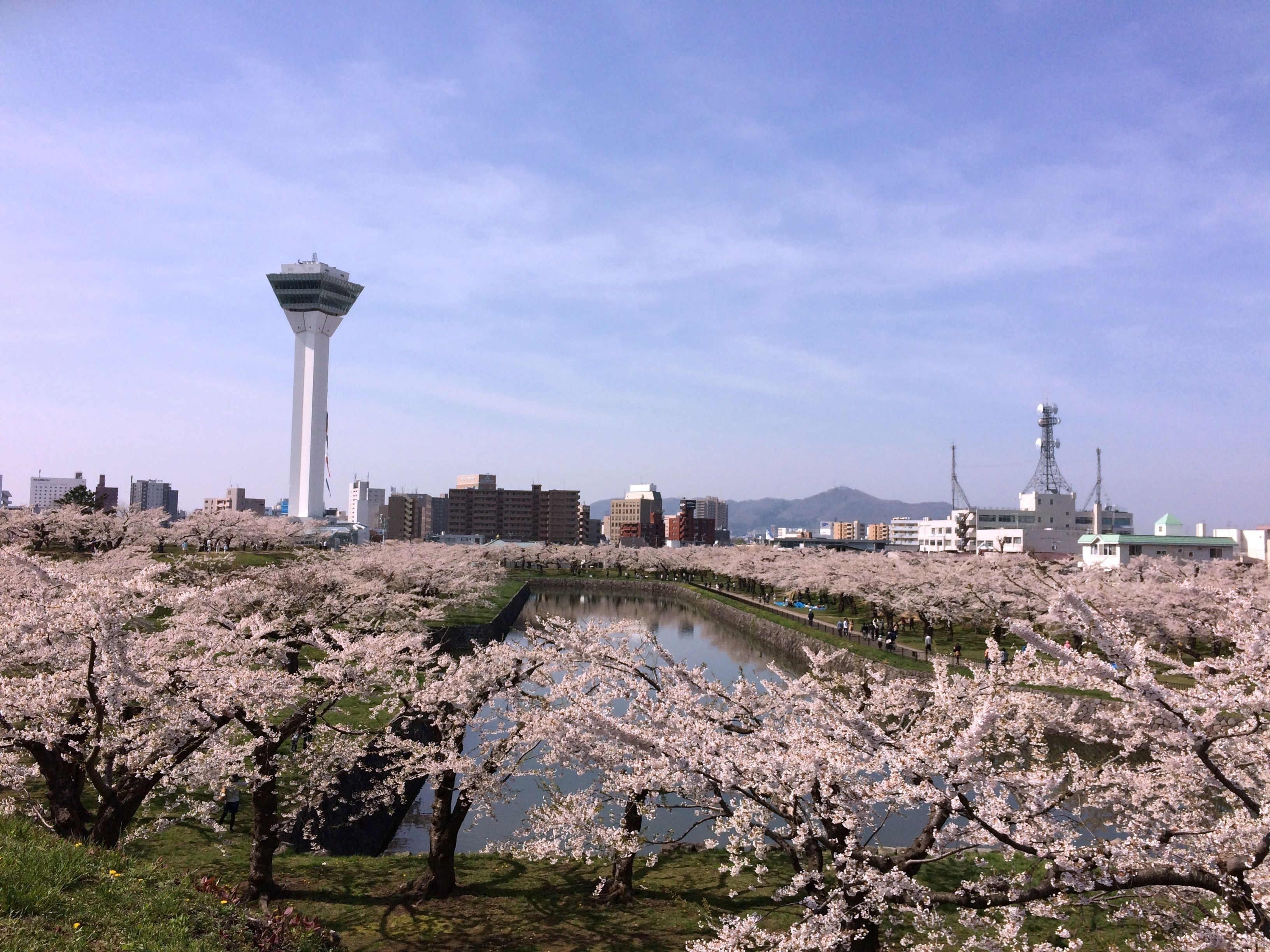Severdighet