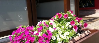 Albergo Carla