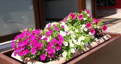 Albergo Carla