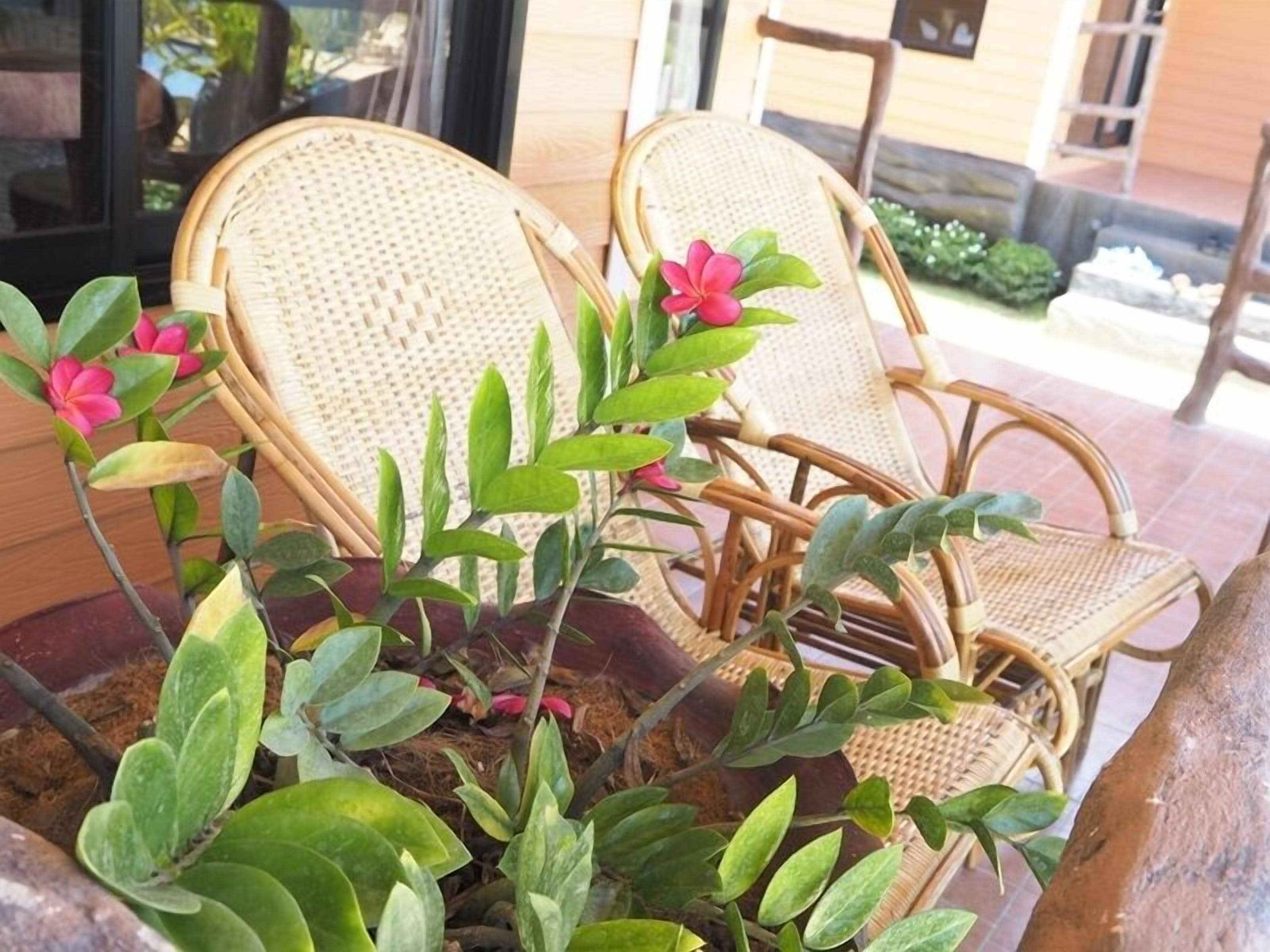 Terrasse/patio