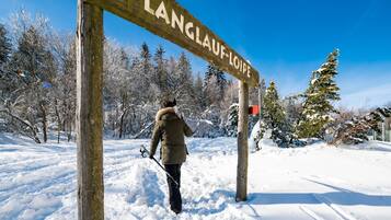 A wooden signpost with the text "LANGLOUF-LOIPE" in a snowy landscape.