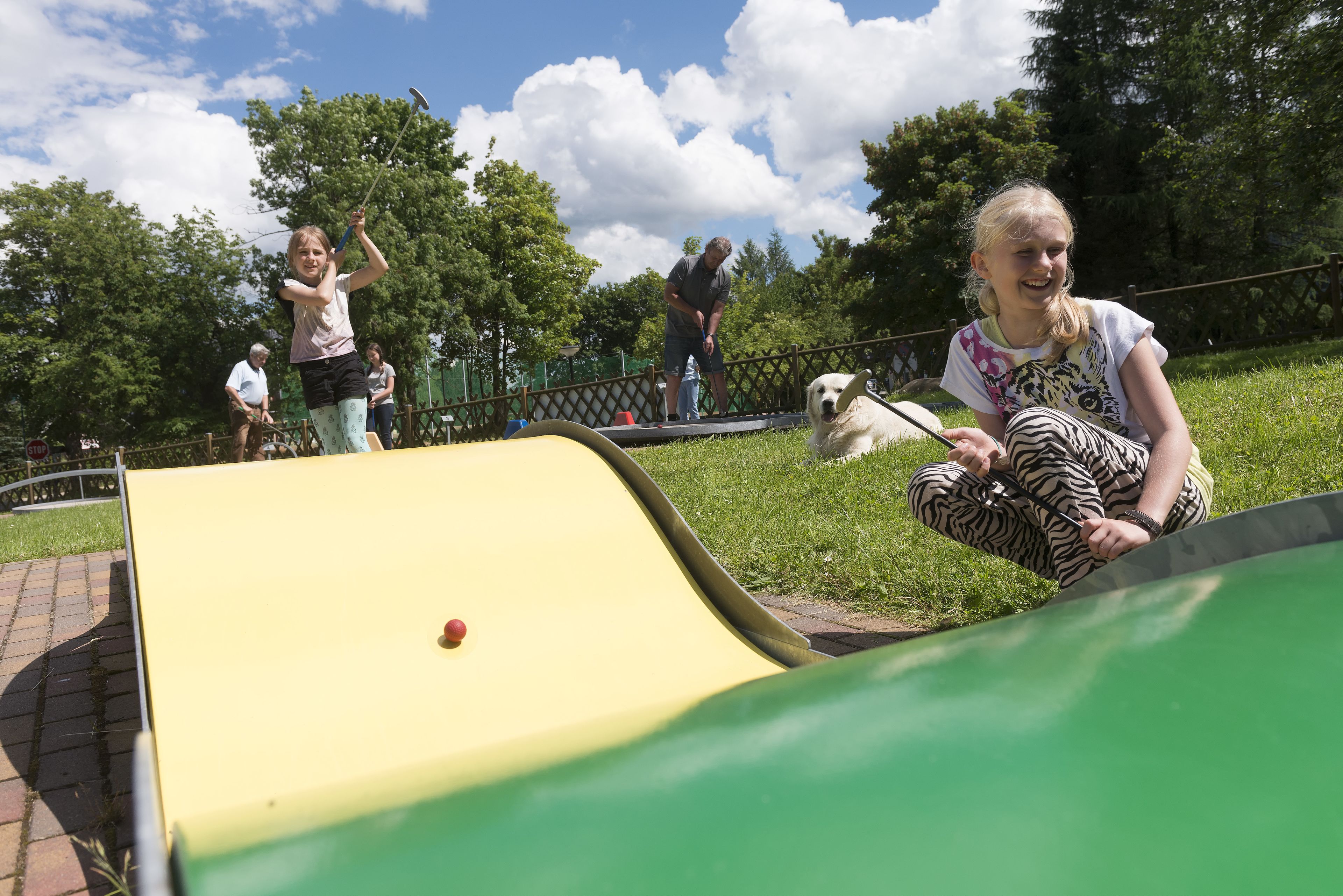 A park with a green slide and a yellow slide.