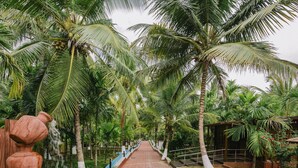 A pathway lined with palm trees and a large terracotta pot. - Sterling Anaikatti (Mannarkkad)