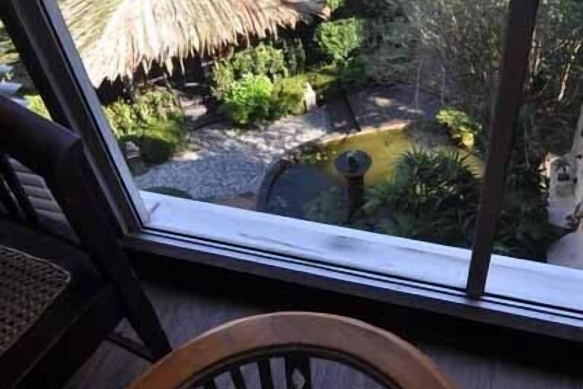 Double Room | View from room